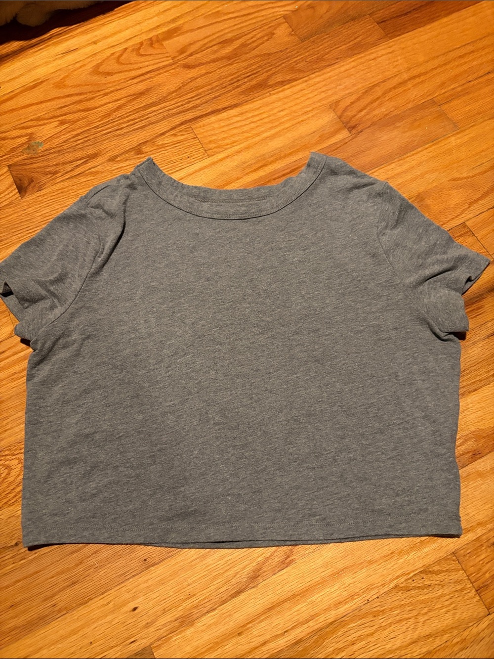 wild fable Gray Short Sleeve Crop Tee